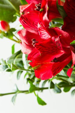 güzel çiçek aranjmanı