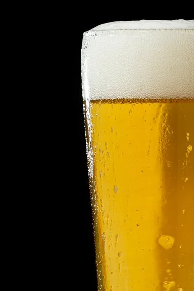 Altın bira — Stok fotoğraf