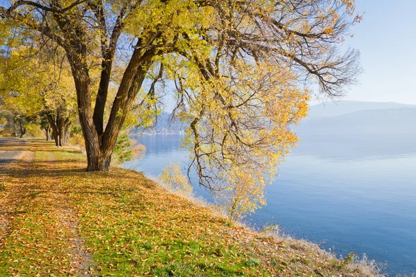 Herbst am See — Stockfoto