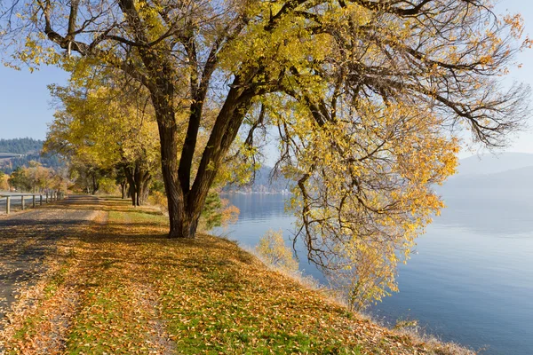Осень у озера — стоковое фото
