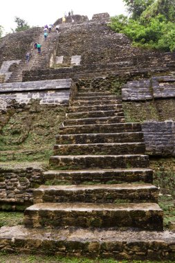 lamanai maya Tapınağı