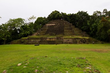 Jaguar Temple, Lamanai Belize clipart