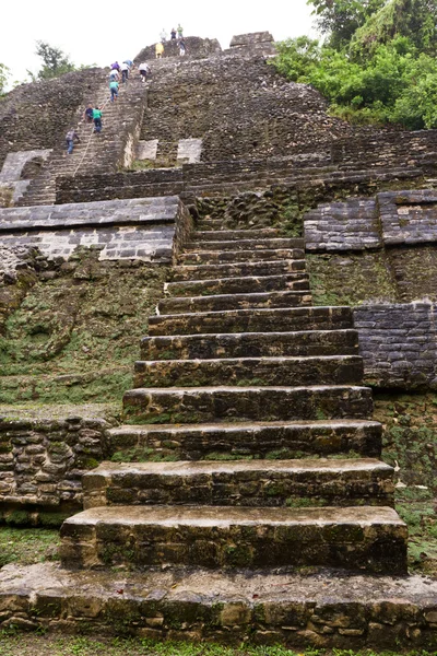Lamanai maya tempel — Stockfoto