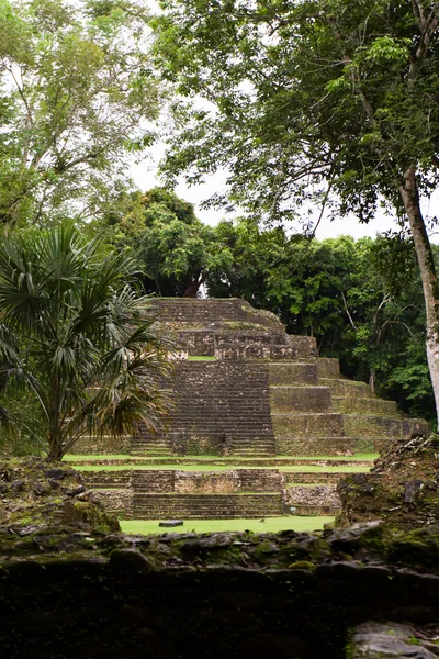 Jaguar tempel, lamanai belize — Stockfoto