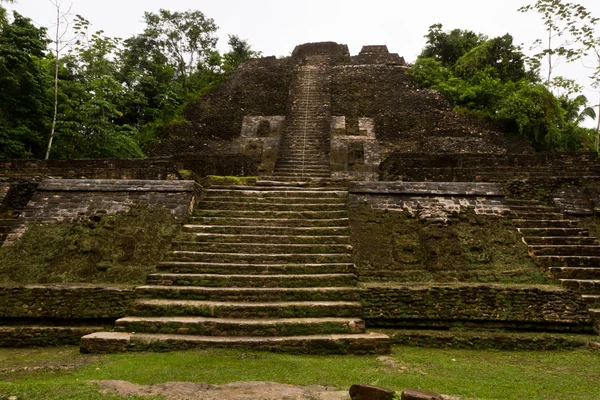 Templo Maia, Lamanai Belize — Fotografia de Stock