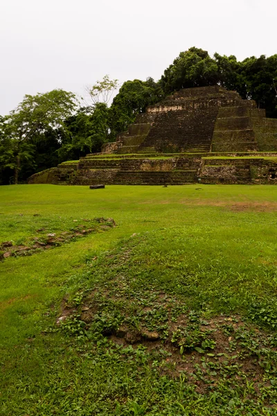 Templo de Jaguar, Lamanai Belice —  Fotos de Stock