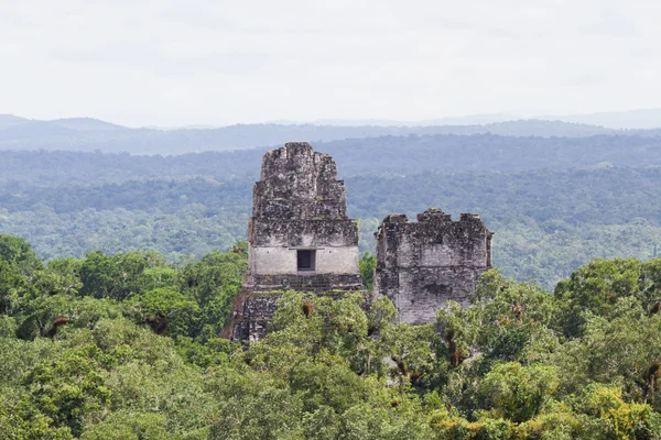 Tikal, Mayan Ruins — Stock Photo, Image