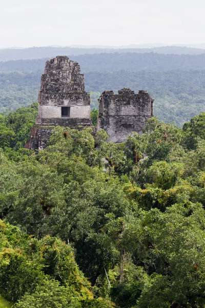 Tikal, Maya-ruiner — Stockfoto