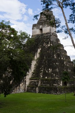 büyük jaguar Tapınağı, tikal, guatemala