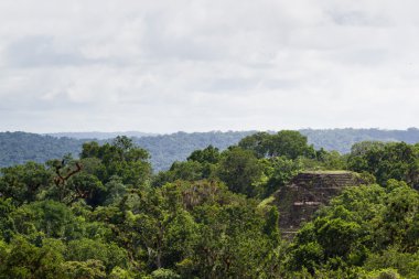 Tikal, Mayan Ruins clipart