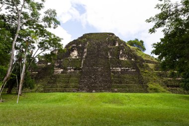 Tikal, Maya harabelerini