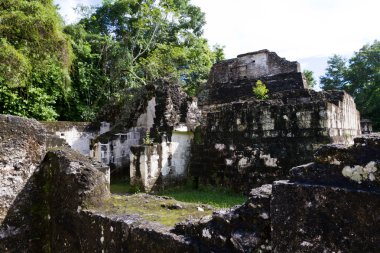 Tikal, Maya harabelerini