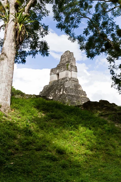 Nagy jaguar temple, tikal, guatemala — Stock Fotó