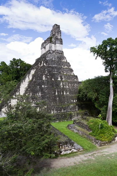 멋진 재규어 사원, tikal, 과테말라 — 스톡 사진