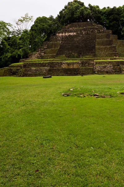 Templo de Jaguar, Lamanai Belice — Foto de Stock