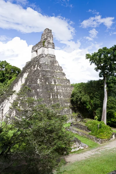 멋진 재규어 사원, tikal, 과테말라 — 스톡 사진