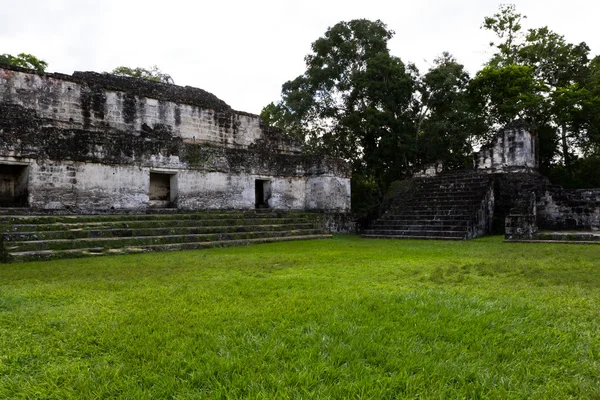 Tikal, ruinas mayas — Foto de Stock