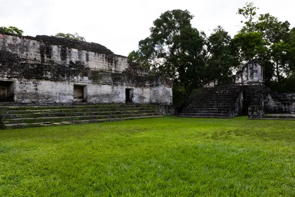 Tikal, ruiny Majów — Zdjęcie stockowe