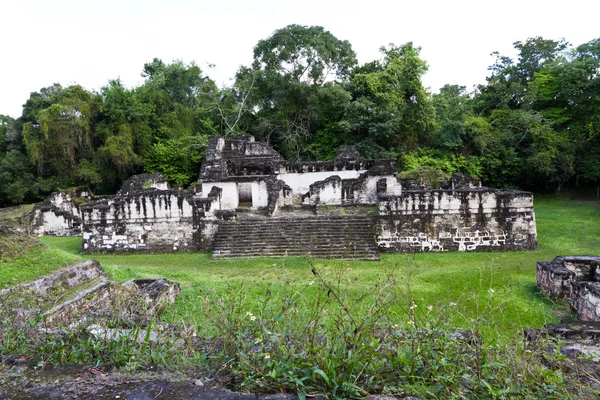 Tikal, ruiny Majów — Zdjęcie stockowe