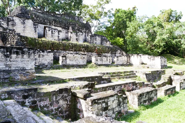 Tikal, ruinas mayas — Foto de Stock