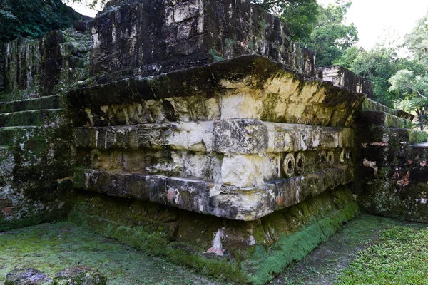 Tikal, ruines mayas — Photo
