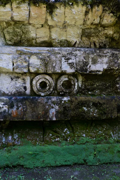 Tikal, Rovine Maya — Foto Stock