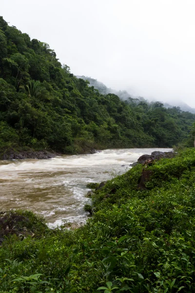 Río Macal Belice — Foto de Stock