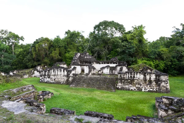 Tikal, Rovine Maya — Foto Stock