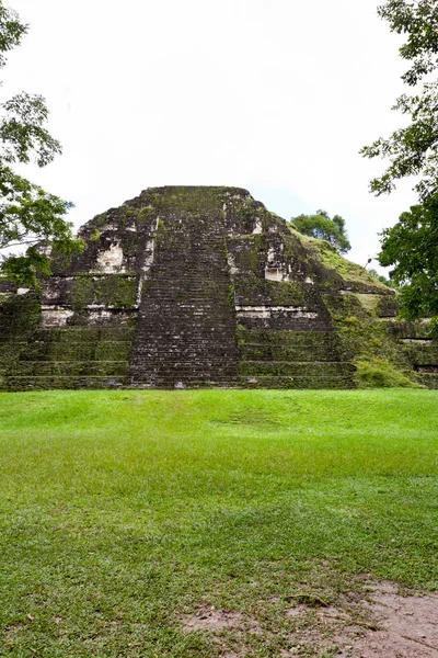 Tikal, ruiny Majów — Zdjęcie stockowe