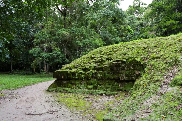 Ruins under the jungle — Stock Photo, Image