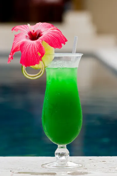 Tropik Kokteyl — Stok fotoğraf