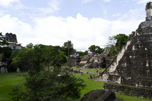 Jaguar Wielkiej Świątyni, tikal, Gwatemala — Zdjęcie stockowe