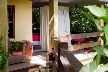 yağmur ormanlarında yaşayan