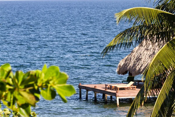 Belize, tropikalnej plaży — Zdjęcie stockowe