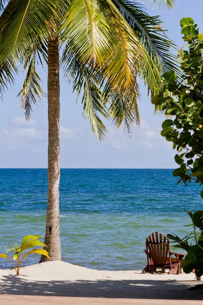 Belize, tropikalnej plaży — Zdjęcie stockowe