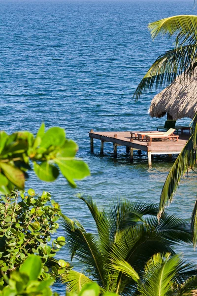 Belize, tropisk strand — Stockfoto