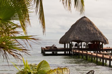 tropikal belize