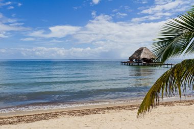 tropikal belize