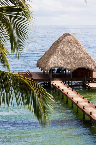 Tropical Belize — Stock Photo, Image