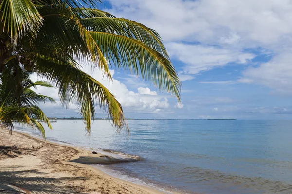 Playa tropical — Foto de Stock