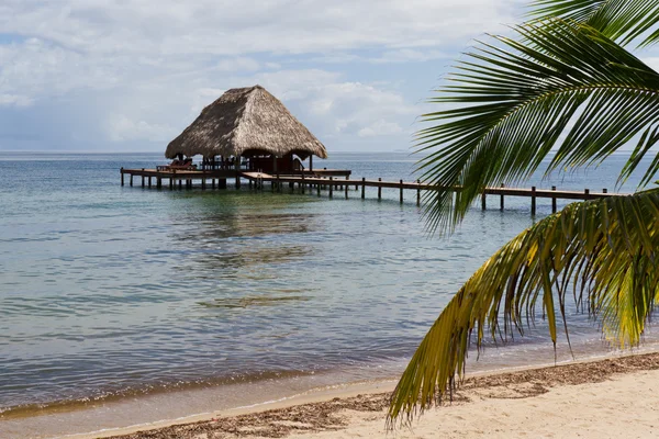 Tropické belize — Stock fotografie