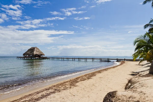 Belize tropical — Fotografia de Stock