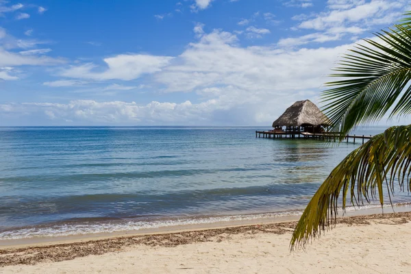 Tropické belize — Stock fotografie