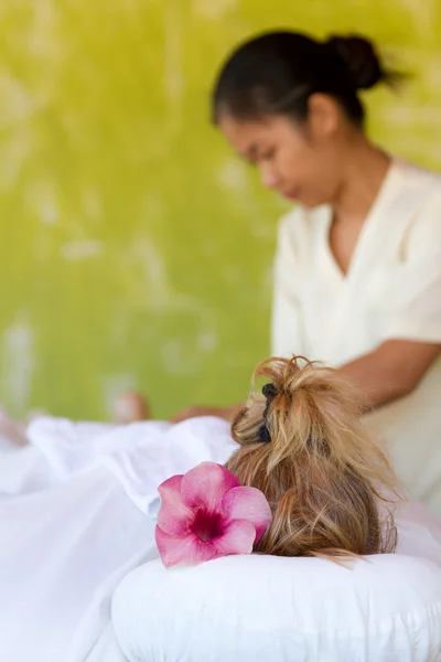 Ganzkörpermassage — Stockfoto