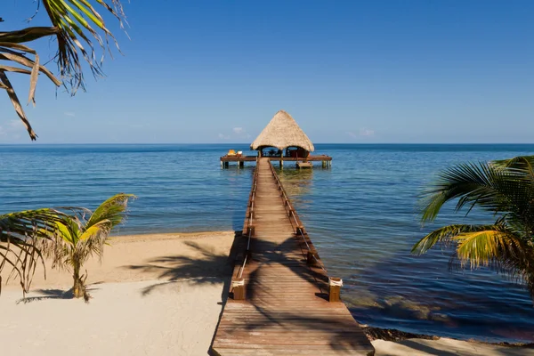 Paraíso tropical — Fotografia de Stock