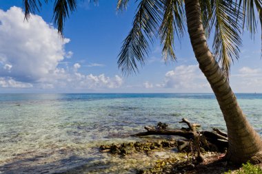 belize sahilkust van belize