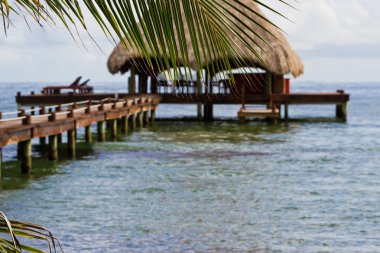 tropikal belize