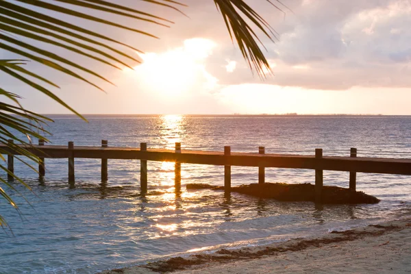 Playa tropical — Foto de Stock