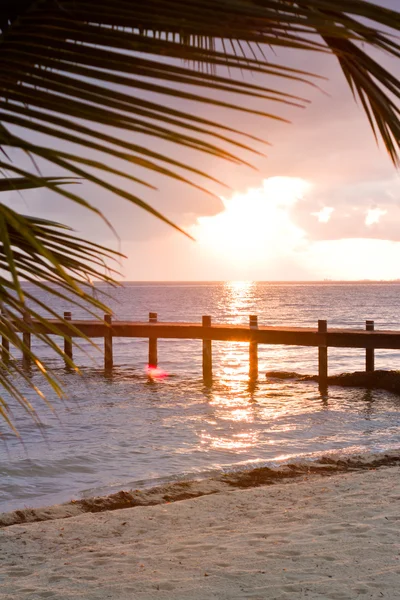 Tropisk strand — Stockfoto