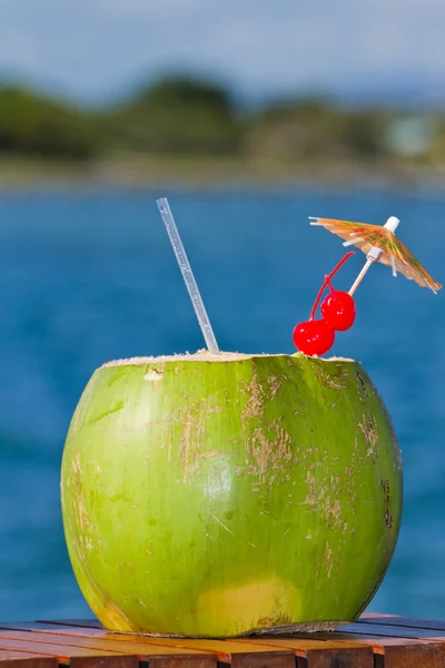 Napój kokosowy — Zdjęcie stockowe